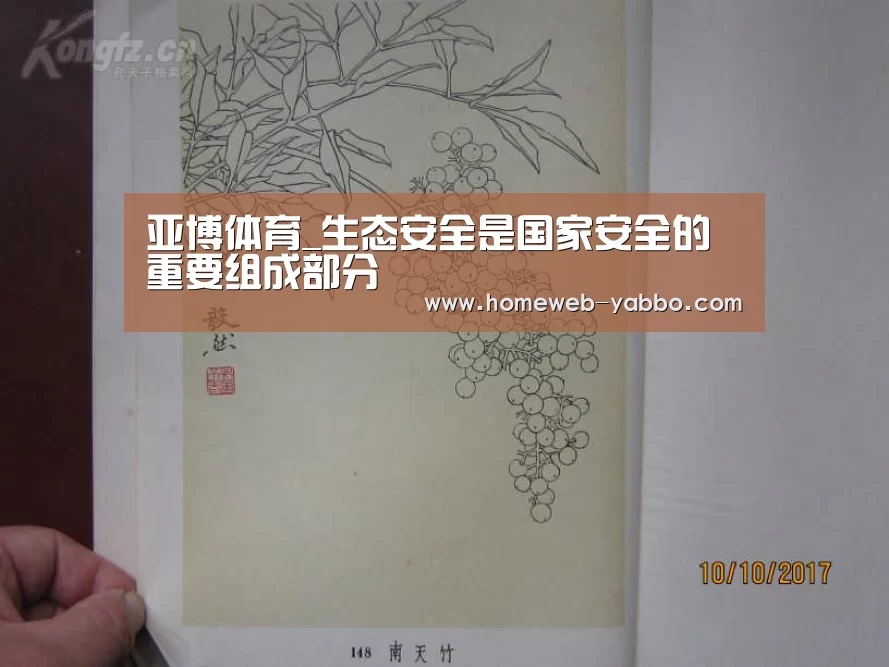 亚博体育_生态安全是国家安全的重要组成部分