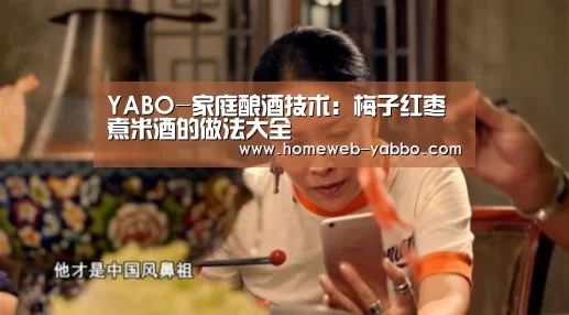YABO-家庭酿酒技术：梅子红枣煮米酒的做法大全