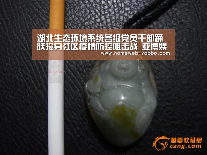 湖北生态环境系统各级党员干部踊跃投身社区疫情防控阻击战_亚博
